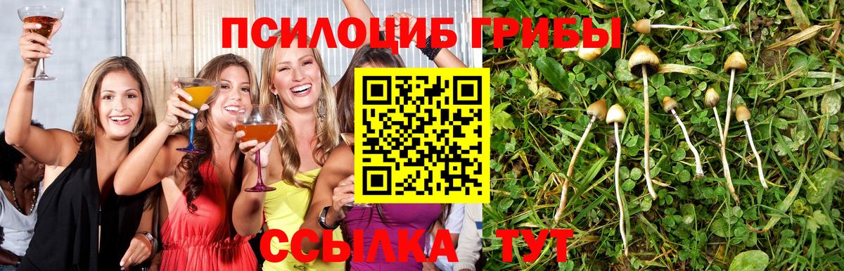 Галлюциногенные грибы мицелий Боровичи