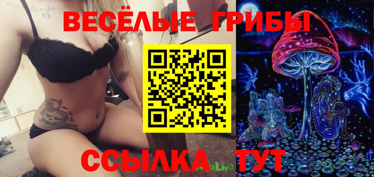 Галлюциногенные грибы мицелий  Псилоцибиновые грибы Psilocybe  Боровичи  Вход с VPN 